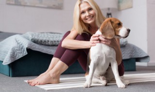 怎么让狗狗不在家里大小便 如何让狗狗不在家里大小便