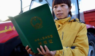 林业证有什么用（林业证是什么）