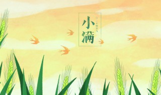 小满是哪一天 2022小满是哪一天