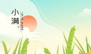 小满是什么节日 小满是什么节日 百度网盘