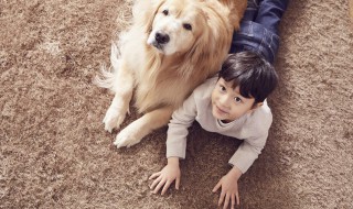 儿童适合养什么宠物 12岁儿童适合养什么宠物