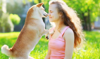 家庭适合养什么犬 什么犬适合家里养