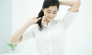 衬衫的英语怎么读 女式衬衫的英语怎么读