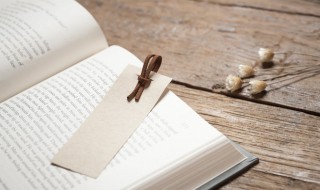 宛的组词（宛的组词和拼音）