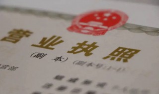 营业执照怎么网上年审（广东省工商营业执照怎么网上年审）