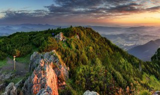 蒙顶山旅游攻略（蒙顶山旅游攻略自驾游）