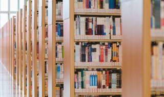 张九龄是哪个朝代人（张九龄是哪个朝代人是男是女）