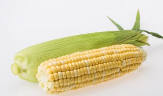 粘玉米怎么煮好吃又甜 粘玉米怎么煮好吃又甜又粘