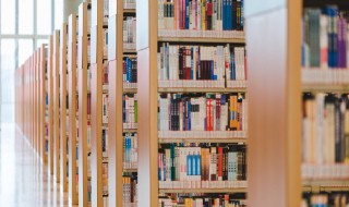 朝花夕拾名句（朝花夕拾名句加赏析）