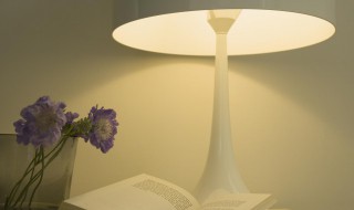 创意台灯选购技巧有哪些（5招教你如何挑选好的台灯）