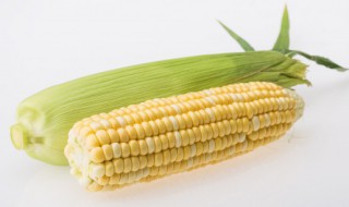 玉米芝士的做法微波炉（微波芝士玉米的做法大全）