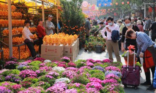 阳台种什么香型的花（阳台种什么花比较香）