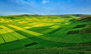 我们如何种好庄稼的谚语 要想庄稼长得好谚语