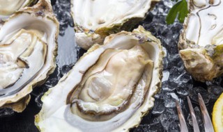 微波炉烤生蚝的做法（微波炉烤生蚝的做法窍门窍门窍门）