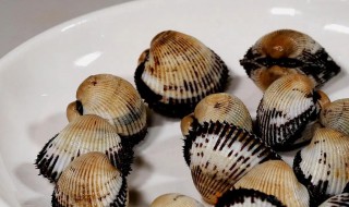 毛蚶怎么读 毛蚶念什么