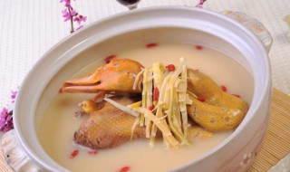 鸭子怎么煲汤好喝 鸭子怎么煲汤好喝补身体