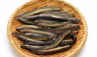 粉蒸泥鳅的做法 粉蒸泥鳅的做法视频窍门