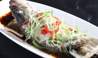 豉汁蒸鲈鱼的做法 豉汁蒸鲈鱼的做法大全