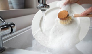 碟子可以放微波炉吗（平常的碟子可以放进微波炉吗）