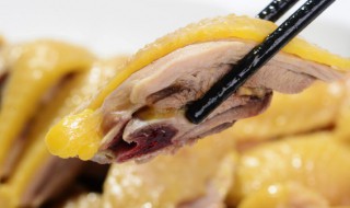 补药蒸鸡的做法 药补蒸鸡的方法