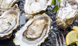 蒜茸蒸生蚝的做法(蒜蓉蒸生蚝的做法大全)