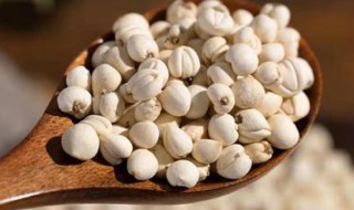 川贝保存方法 川贝的保存方法