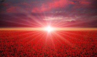 东君是什么意思（东君是什么意思?）