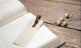 engine是什么意思（engineer是什么意思）