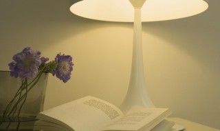 金辉的意思 金辉的意思和造句