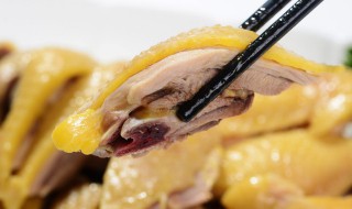 蒸三黄鸡的做法（蒸鸡用三黄鸡可以吗）