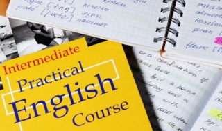 tiny是什么意思（tiny是什么意思中文）