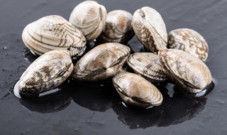 干蛤蜊肉的保存方法（蛤蜊干能保存多长时间）