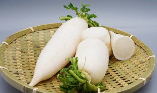 白萝卜可以放冰箱吗（白萝卜能放冰箱吗?）