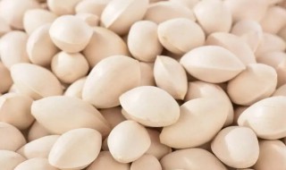 白果炒熟后保存方法（白果煮熟后保存方法）