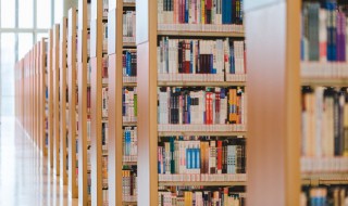 木字旁一个鬼字读什么（木字旁加一个鬼字念什么字）