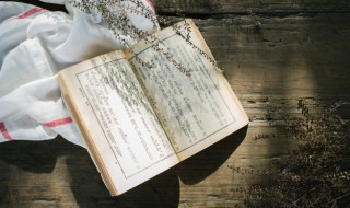 金字旁一个华读什么字（金字旁一个华念什么）