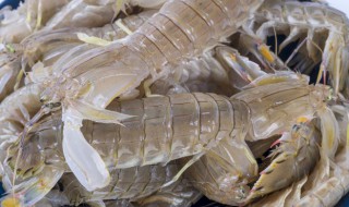 虾爬子煮多长时间最好（虾爬子煮多长时间为好）
