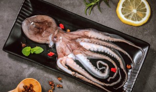 煮八爪鱼多长时间（八爪鱼一般煮几分钟）