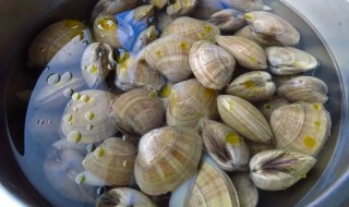 煮黄蚬子多长时间（黄蚬子水煮多长时间比较合适）