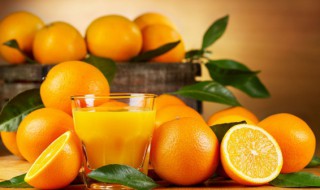桔子存放方法（桔子的保存方法是什么）