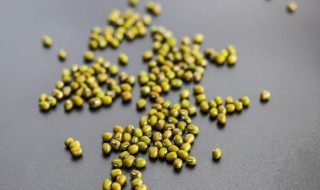 绿豆的存放方法是什么 绿豆的储存方法有哪些