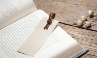 歠怎么读 放饭流歠怎么读