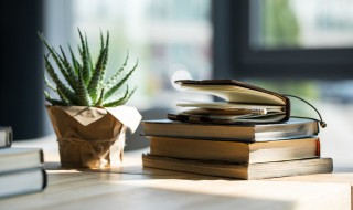 王字旁一个力念什么（王字旁一个力念什么字）