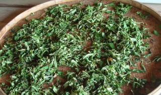 晒干的苦菜怎么做好吃（苦菜晒干怎样做腌菜）