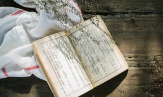 沂怎么读音（潟怎么读音）