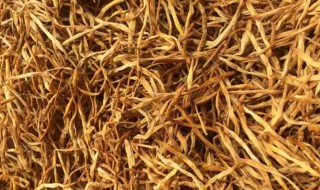 晒干的黄花菜怎么吃（晒干的黄花菜怎么吃好吃）