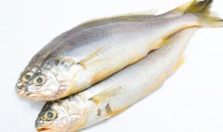 晒干鱼怎么晒没有苍蝇（怎样晒干鱼没有苍蝇）