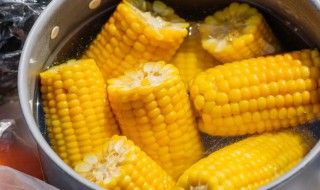 苞米开锅得煮几分钟能熟啊 烀苞米开锅几分钟能熟
