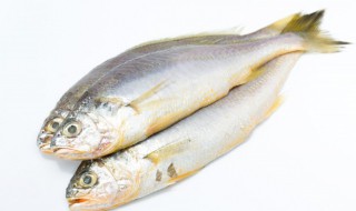 整条鱼要煮几分钟才会熟(水煮一整条鱼多久能熟)