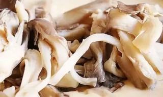 平菇煮几分钟才熟 平菇煮多长时间就熟了